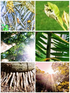 collage fotos de jose